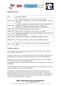 Microsoft Word - bilan stage handisport tir a l'arc 13 ocotbre 2019 v33_001